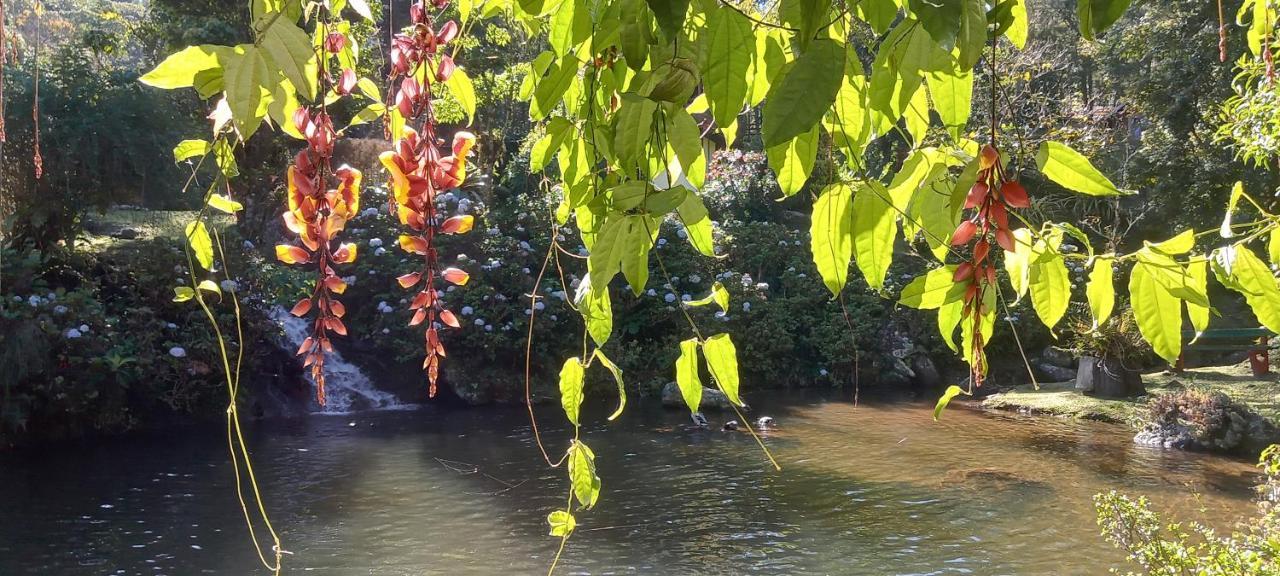 Espirito Das Aguas Chales ลูเมียร์ ภายนอก รูปภาพ